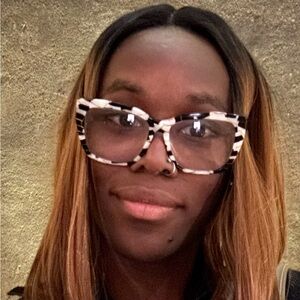 Meet your Posher, Dementeidei